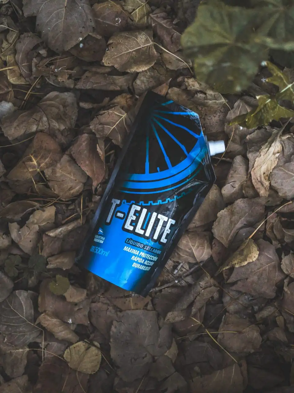 T-Elite entre hojas secas